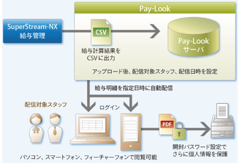 paylook-nx-paylook_flow
