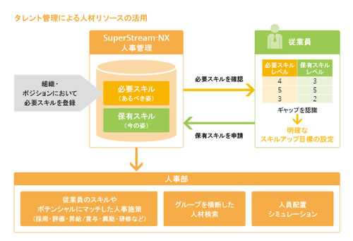 現状とあるべき姿を可視化できるタレントマネジメントを実践