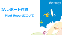 Pivot Reportについて